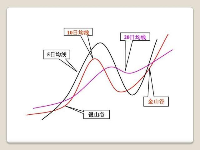 全市无死角覆盖！肇庆8月12日开展爱国卫生运动统一行动
